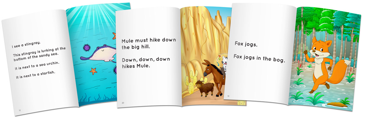 little lions literacy