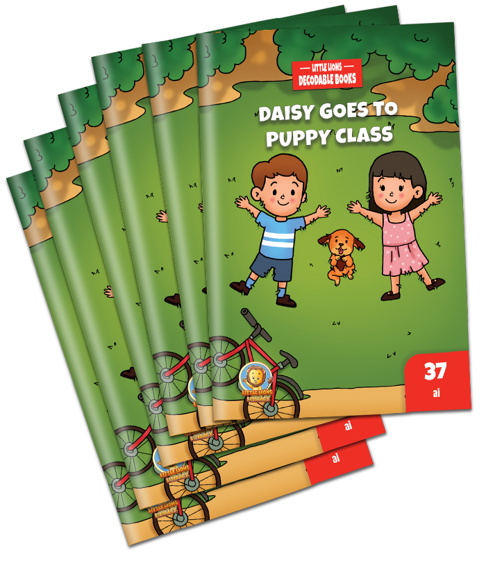 Six copies of decodable books for small-group reading instruction in Set 3